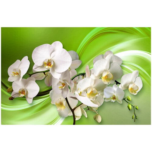 Фотообои Уютная стена Белые орхидеи 3D на зеленом фоне 420х270 см Бесшовные Премиум (единым полотном) фотообои уютная стена прекрасный нежный цветок на графичном фоне 420х270 см бесшовные премиум единым полотном
