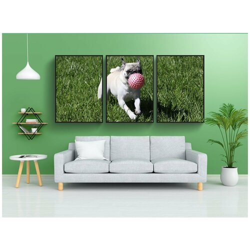 фото Набор модулных постеров для интерьера "собака, мопс, играющий" 60x90 см. в тубусе, без рамки lotsprints