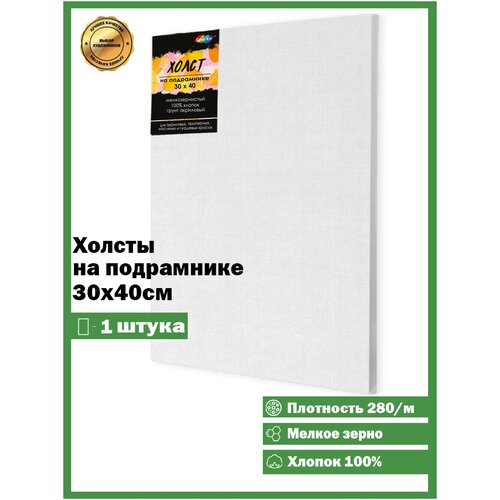 Color kit/ Холсты для рисования /Холст грунтованный на подрамнике 280 г/м, 30х40 PNX3040