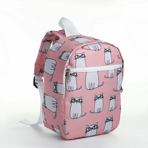 Рюкзак школьный на молнии, наружный карман, цвет розовый