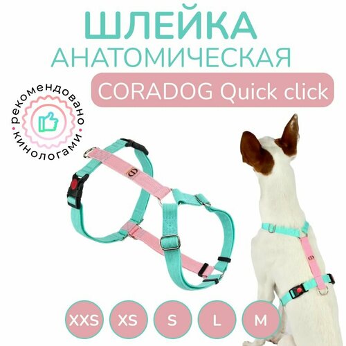 Шлейка прогулочная анатомическая для средних и крупных пород собак, CORADOG Quick click, размер L, цвет розовый, мятный