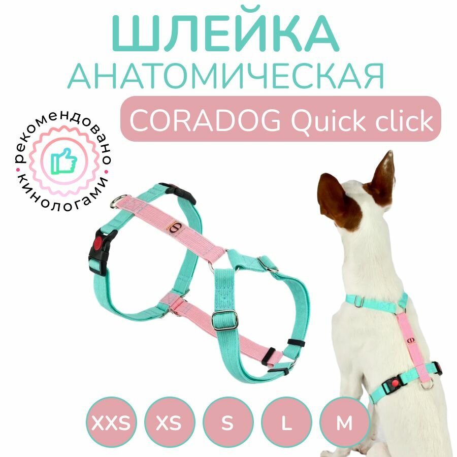 Шлейка прогулочная анатомическая для мелких пород собак и кошек, CORADOG Quick click, размер XXS, цвет розовый, мятный