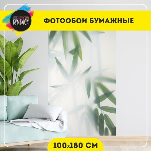 Фотообои Листья за стеклом 100х180 см