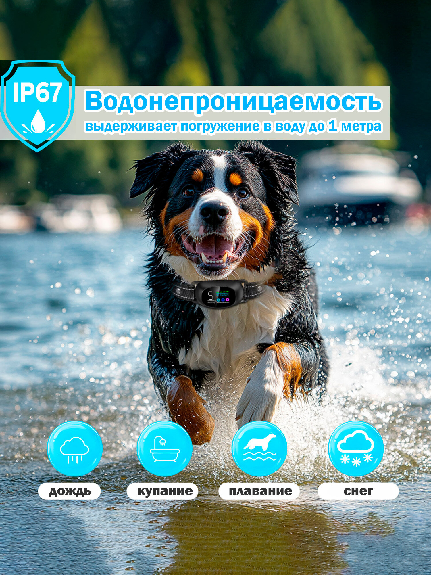 Антилай QS -530 с пультом — фото 1