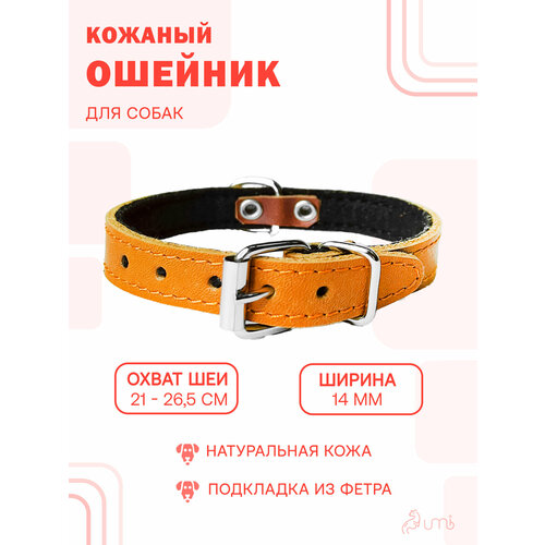 Кожаный ошейник (обхват шеи 21-26,5 см.) на фетре для небольших щенков и маленьких собак / Бежевый