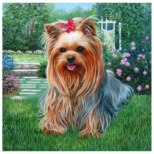 фото Алмазная мозаика собака йорк (mazari) 20 х 25 см холст | алмазная вышивка животные | алмазная живопись картина набор | рыжая коричневая