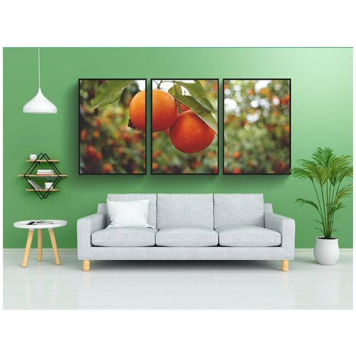 фото Набор модулных постеров для интерьера "апельсины, фрукты, здоровый" 60x90 см. в тубусе, без рамки lotsprints