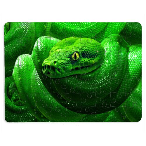 Пазлы CoolPodarok Властный зелёный змей 13х18см 63 эл. магнитный