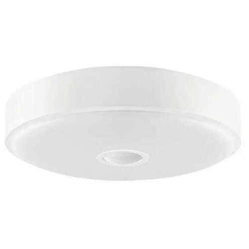 Умный потолочный светильник Xiaomi Yeelight LED Ceiling Lamp 250mm Mini White