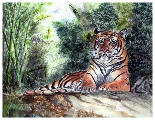 Постер на холсте Тигр (Tiger) №2 39см. x 30см.