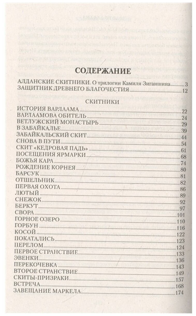 Скитники (Зиганшин Камиль Фарухшинович) - фото №2