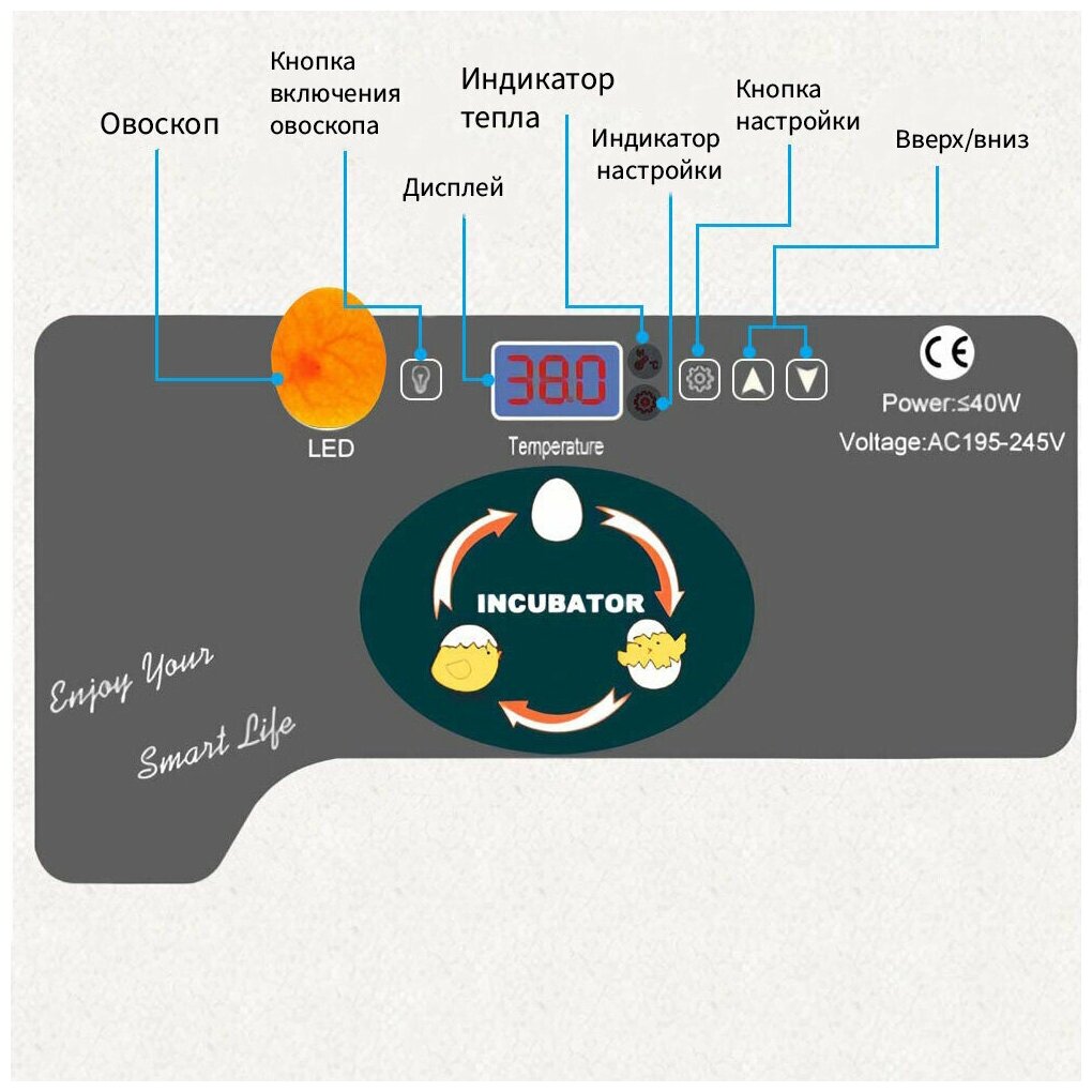 Инкубатор HHD 12 мини автоматический для яиц с овоскопом - фотография № 2