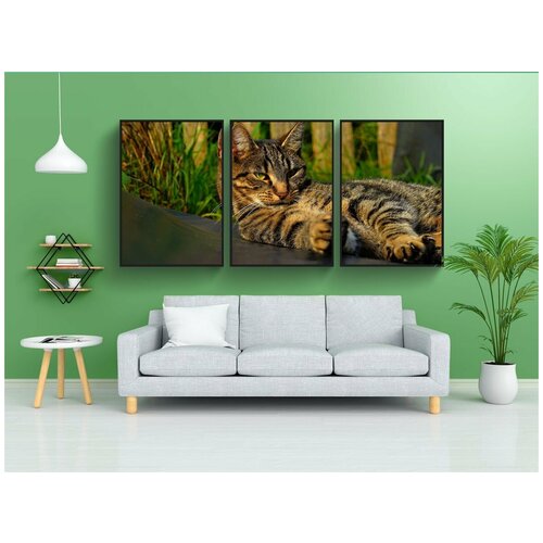 фото Набор модулных постеров для интерьера "кот, женский, голова" 60x90 см. в тубусе, без рамки lotsprints