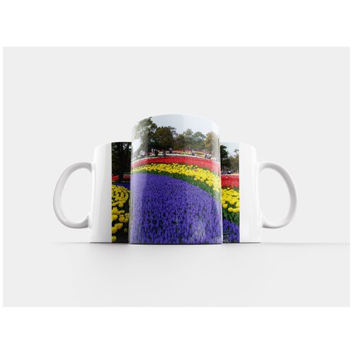 фото Кружка "тюльпаны, кисо сансен парк, гифу" 320 мл lotsprints