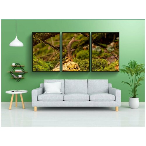 фото Набор модулных постеров для интерьера "rehschädel, череп, рог" 60x90 см. в тубусе, без рамки lotsprints