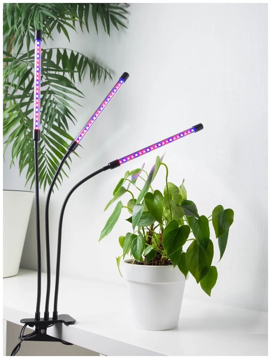 Фитолампа для растений (LED лампа для рассады) с 3-мя гибкими отводами по 11.5 Вт 3 режимами света 9 уровней яркости полный спектр с таймером