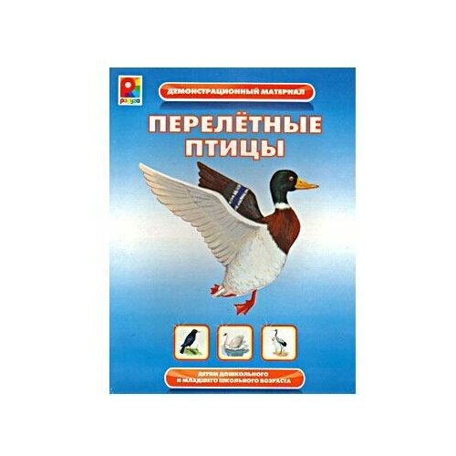 Радуга ​Демонстрационный материал Перелетные птицы настольная игра радуга перелетные птицы с 765