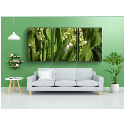 фото Набор модулных постеров для интерьера "ландыш, convallaria, ядовитое растение" 60x90 см. в тубусе, без рамки lotsprints