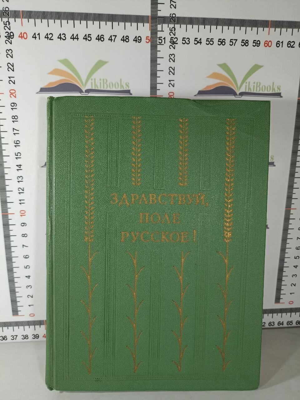 Сборник / Здравствуй, поле русское!