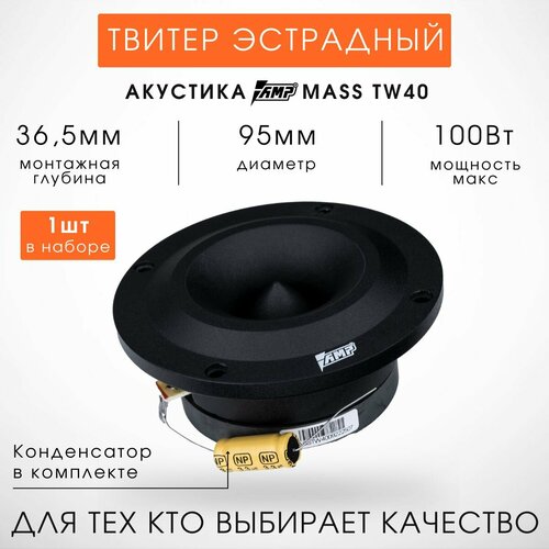 Твитер рупорный AMP TW40