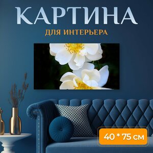 Картина на холсте "Цветы, розы, белый" на подрамнике 75х40 см. для интерьера