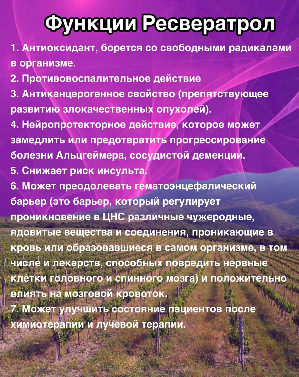 Изображение Ресвератрол в капсулах - антиоксидант для защиты сердца и сосудов