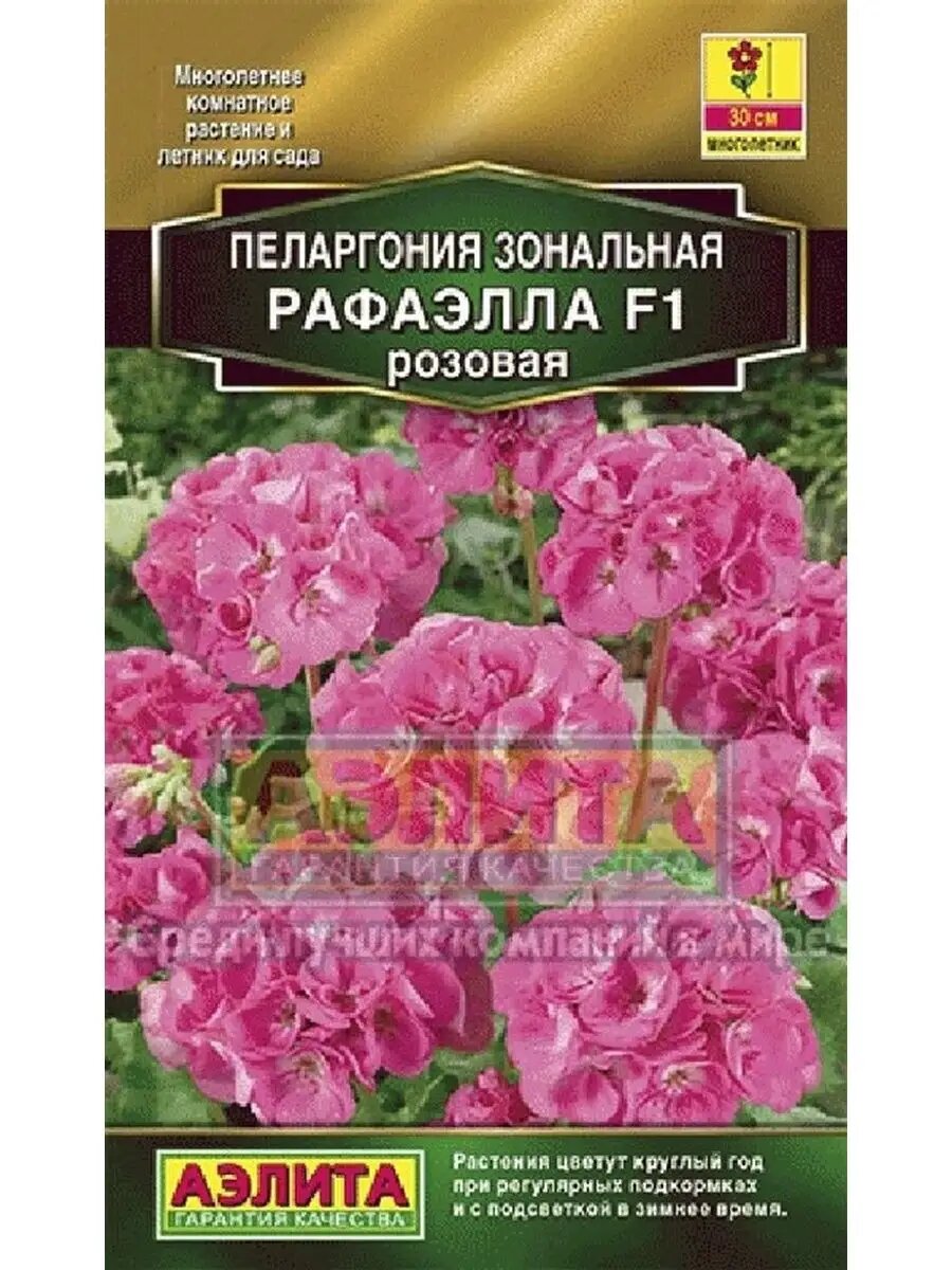 Пеларгония зональная Рафаэлла F