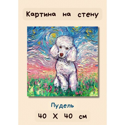 Картина с собакой "Пудель" на холсте в рисованном стиле 40х40 Bestkartina