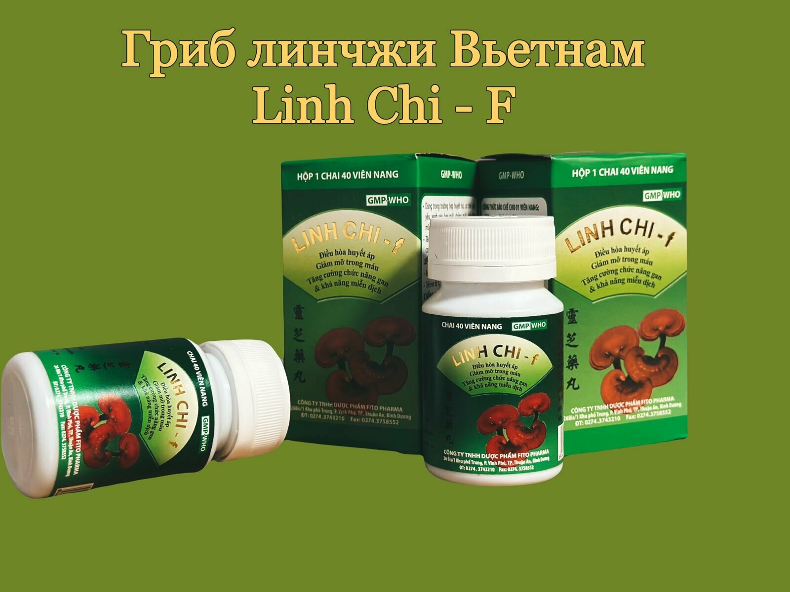 Linch ChiF  укрепляющие иммунитет капсулы с диким грибом долголетия