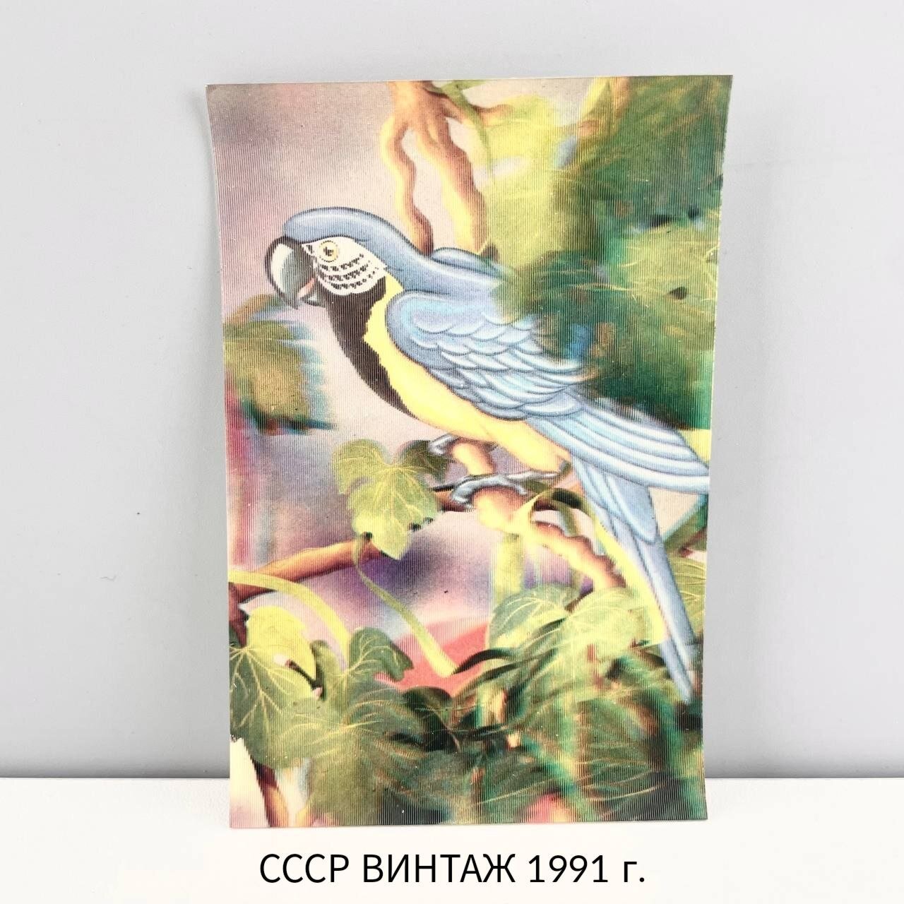Винтажный переливной карманный календарь на 1991 год "Умный попугай". Втпо Киноцентр. СССР, 1991 г.