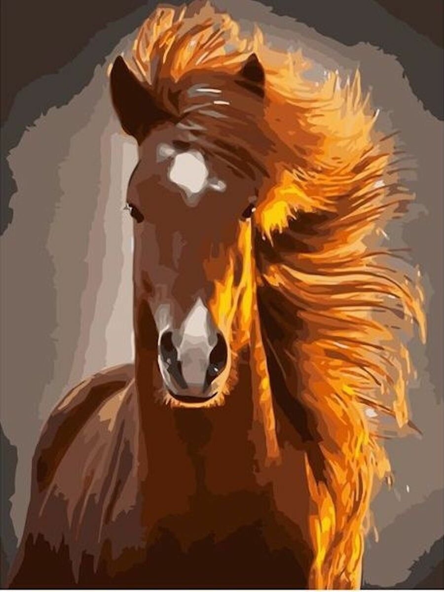 Картина по номерам Рыжий конь 40х50 см