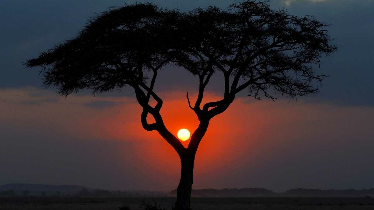 Картина на холсте 60x110 Альянс Лес "Африка солнце пейзаж кения" на подрамнике / интерьер/ декор