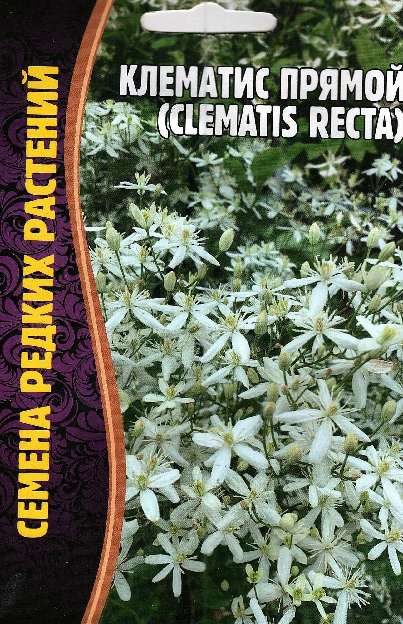 Клематис Прямой Clematis recta семена ( 1 уп: 5 семян )