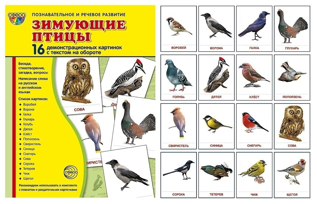 Сфера ТЦ издательство Набор демонстрационных картинок с текстом на обороте Птицы: перелетные, зимующие и домашние