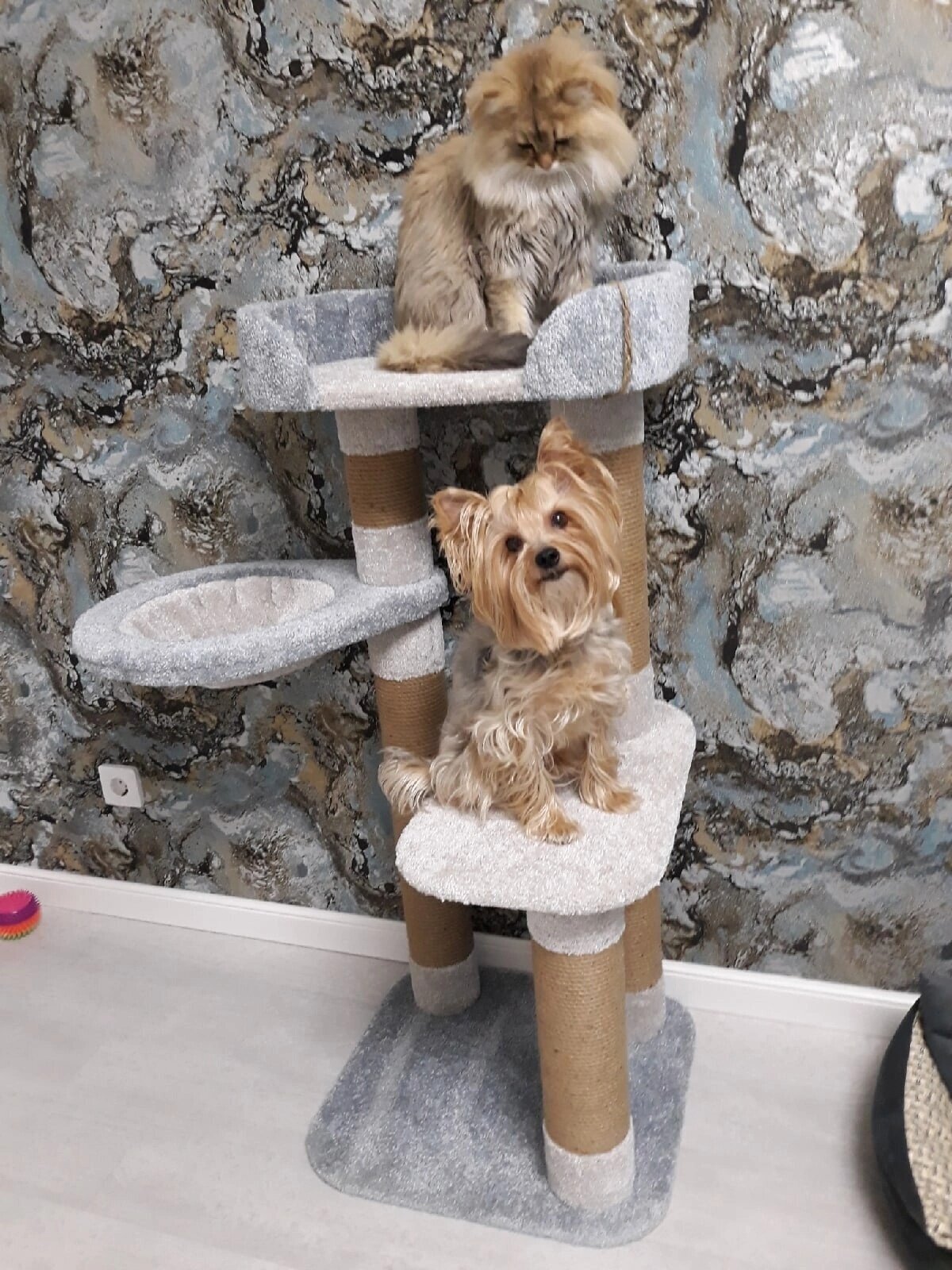 Когтеточка для кошек "Царапкин Дом" с гамаком