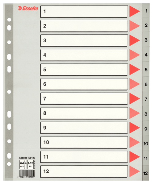 Esselte Разделитель пластиковый А4, 1-12, серый