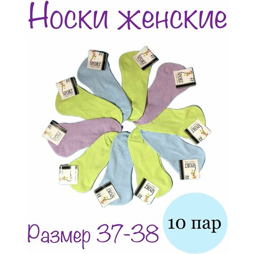 Носки Владимирский стиль, 10 пар, размер 37 - 38, фиолетовый, голубой, зеленый