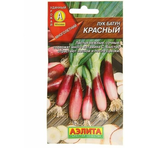 Семена Лук батун Красный, 0,3 г 12 упаковок семена лук батун пьеро 1 г 8 упаковок