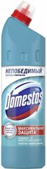 Универсальное чистящее средство Domestos «Свежесть атлантики», 750 мл 4765869