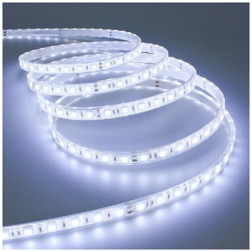 Лента светодиодная (4.8W/M) 12V IP65 Холодный свет (5м)
