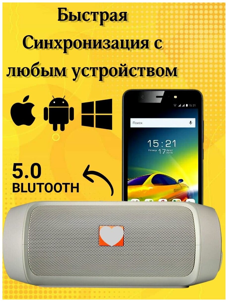 Беспроводная колонка Bluetooth Charge 2+