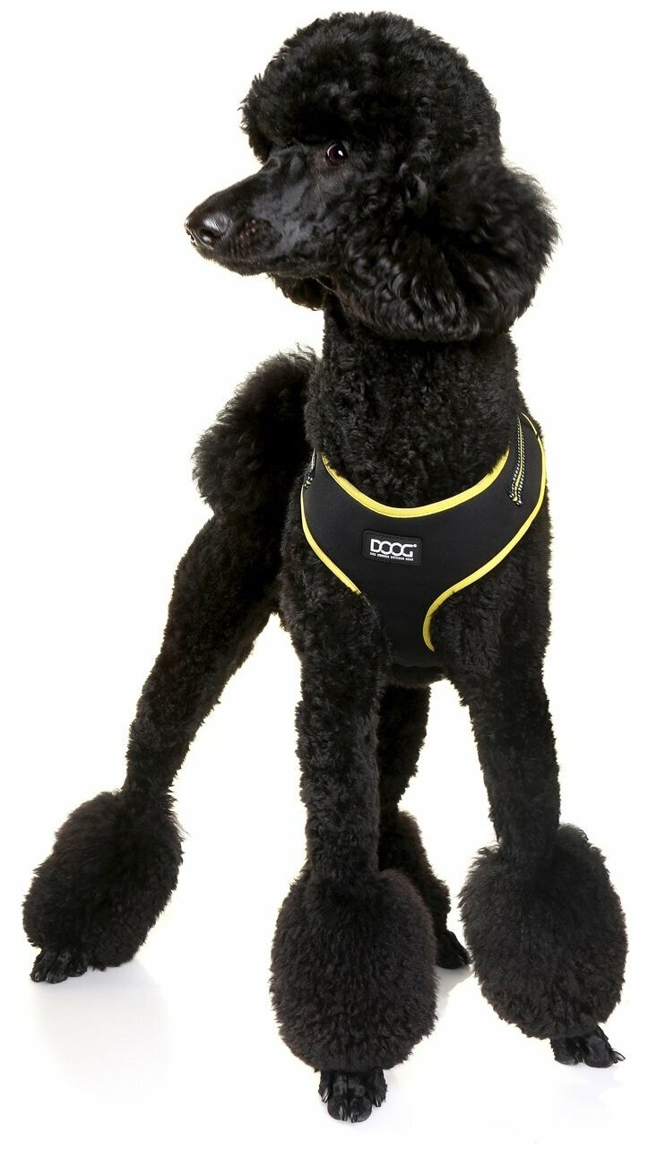 Шлейка для собак DOOG "NEOFLEX BOLT", чёрный с жёлтым кантом, L (Австралия) - фотография № 5