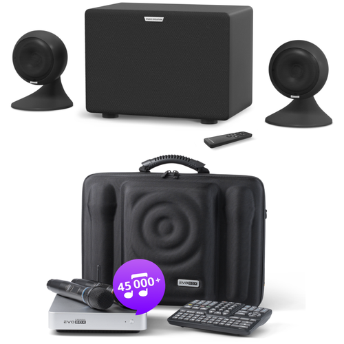 Караоке комплект EvoBox Plus Silver c микрофонами и акустикой EvoSound Sphere 2.1 Black