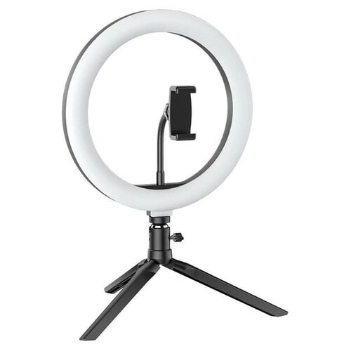 Осветитель BlitzWolf BW-SL5 299000₽