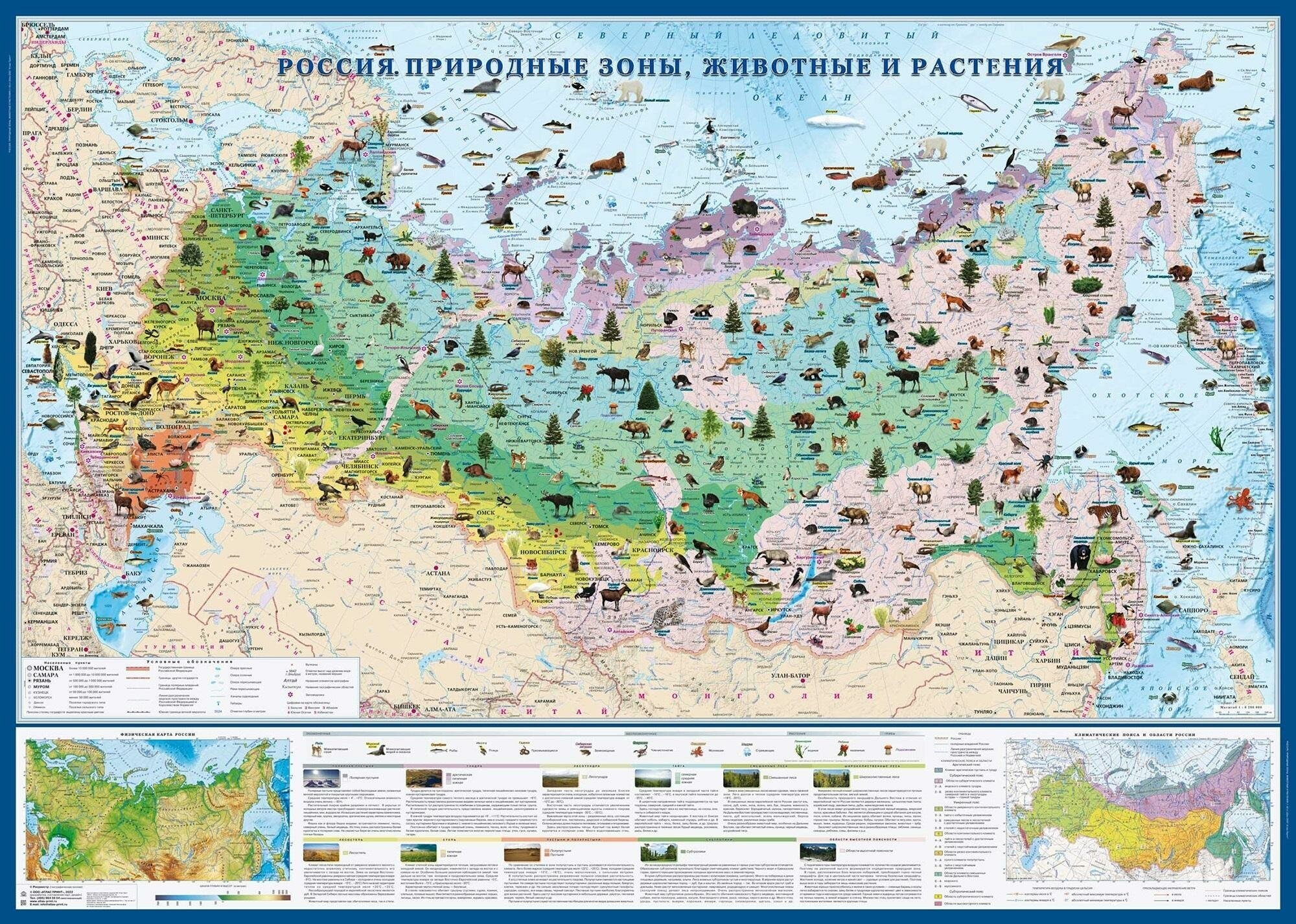 Настенная карта Россия. Природные зоны, животные и растения 1,43х1,02м, КН82