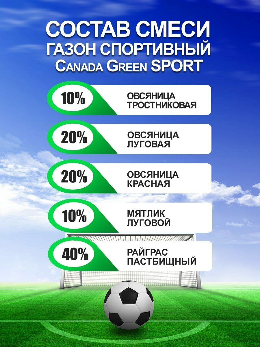 Газонная трава семена Канада Грин Спортивный SPORT/ мятлик райграс овсяница семена для газона