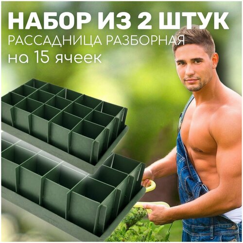 Набор из 2 штук: Рассадницы разборные, ящики зеленые для растений с поддоном на 15 ячеек, 355х185х95мм