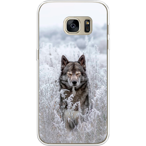 Силиконовый чехол на Samsung Galaxy S7 / Самсунг Галакси С 7 Волк в поле