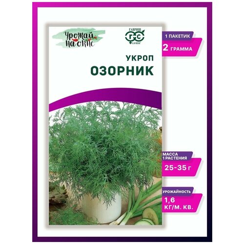 Семена Укропа для балкона; Укроп Озорник 2г Ср (Гавриш) Урожай на окне; семена укропа комнатного; домашнего; балконного; для выращивания на подоконнике