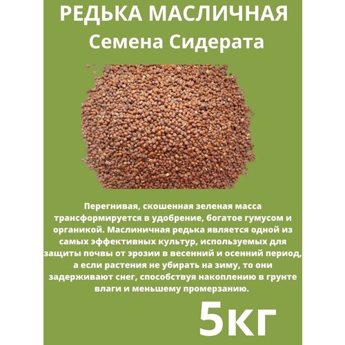 Редька Масличная 5кг